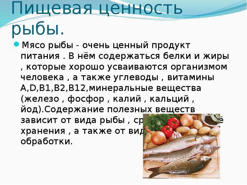 Иваси польза и вред, изучение свойств рыбы при заболеваниях