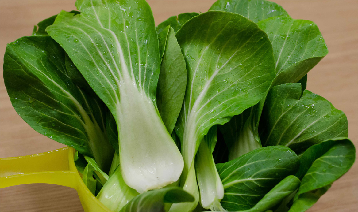 Капуста пак-чой – вкусный и полезный листовой овощ: особенности выращивания и приготовления