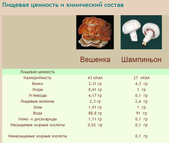 Польза белых грибов для организма: 6 причин употреблять их в пищу
польза белых грибов для организма: 6 причин употреблять их в пищу