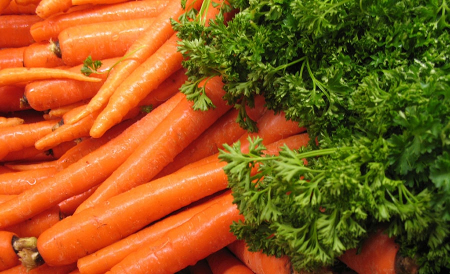 Энергетическая ценность, полезные свойства и калорийность моркови