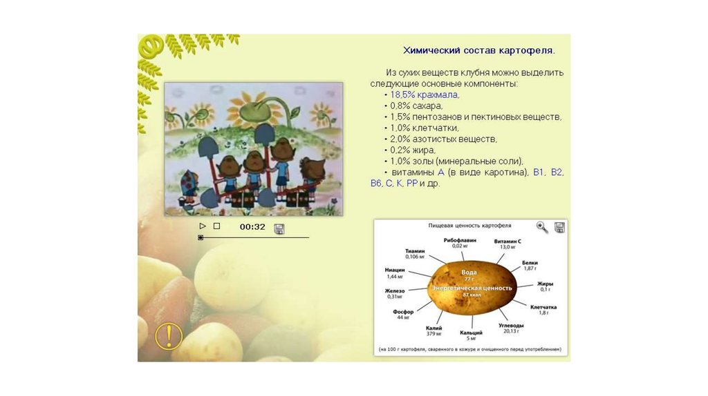 ᐉ химический состав картофеля: белки, жиры, углеводы и т.д. - roza-zanoza.ru