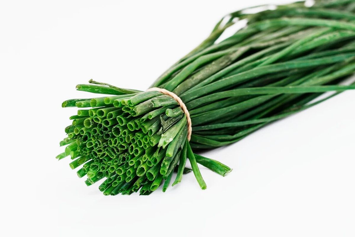 Чем полезен зеленый лук для человека - витамины и минералы в составе, калорийность и противопоказания