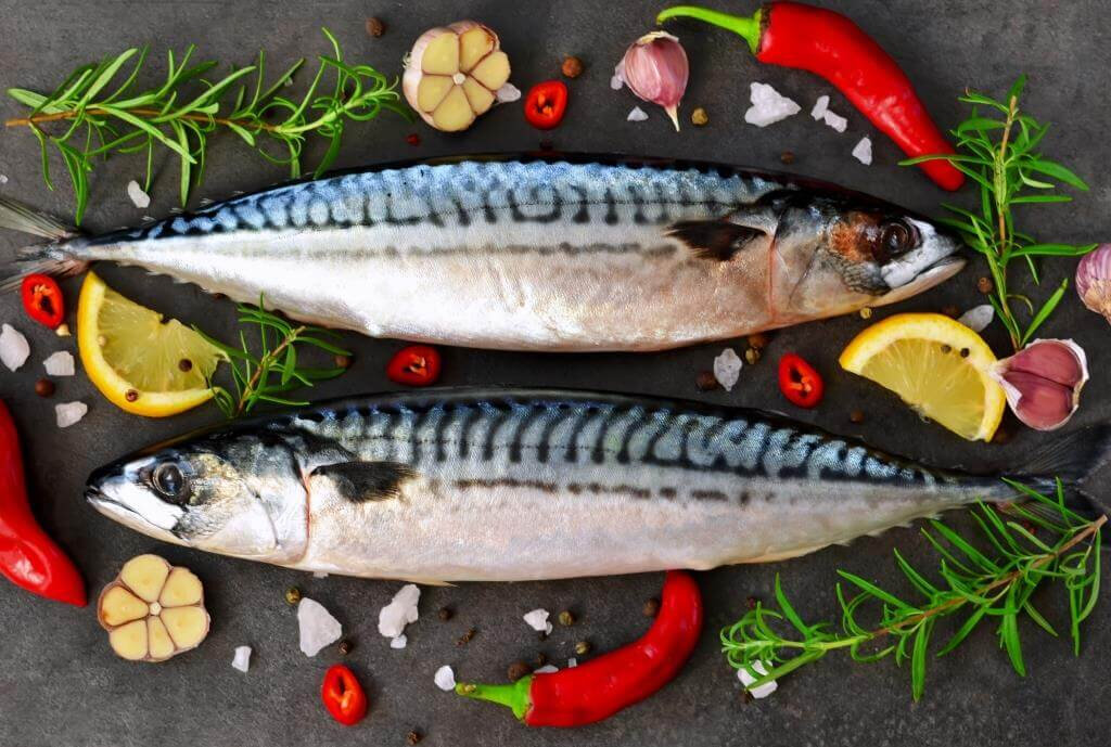 Скумбрия – польза и вред для организма свежей, соленой и копченой рыбы