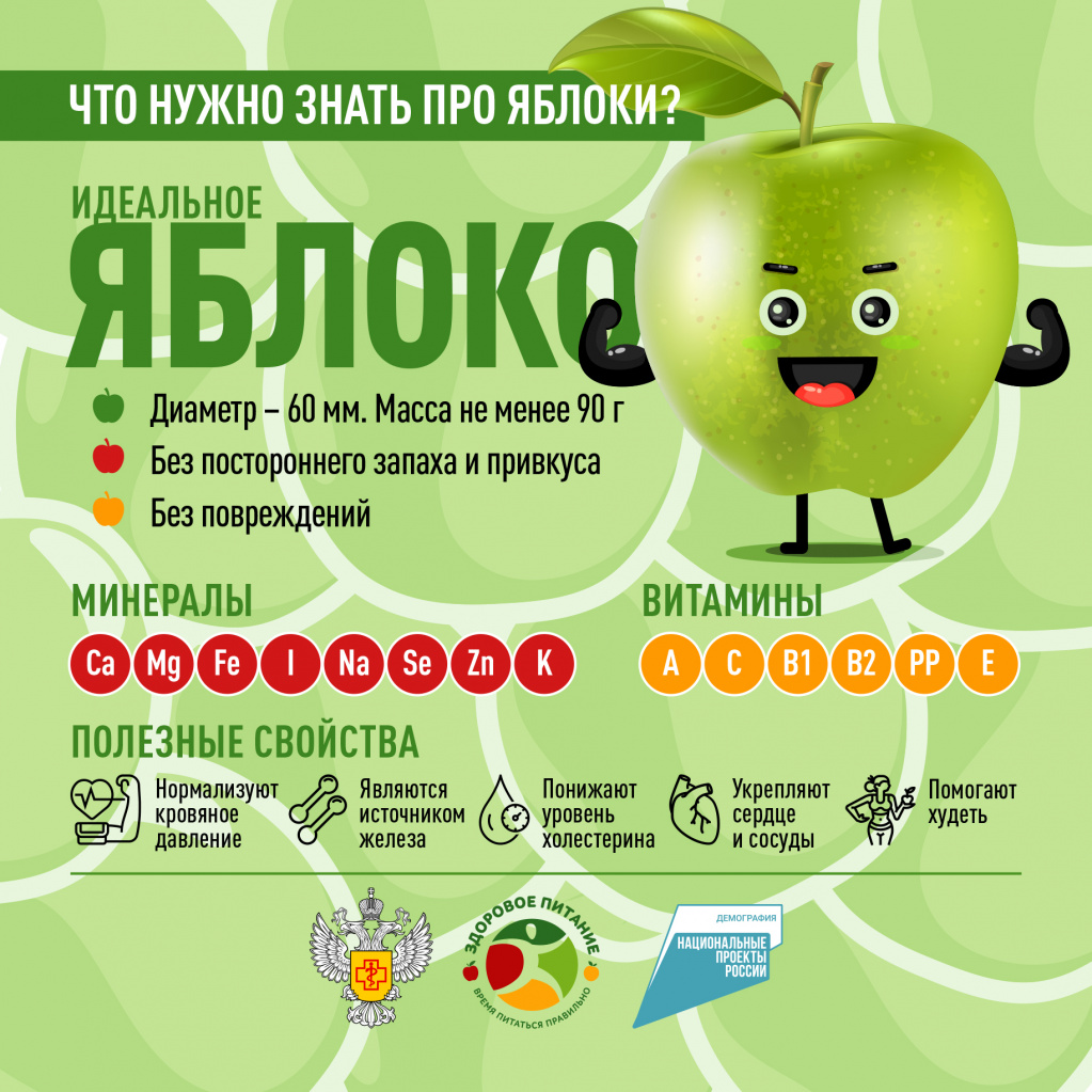 Всё про яблоко , его состав и калорийность, полезные свойства и применение в народной медицине, интересные факты о яблоках