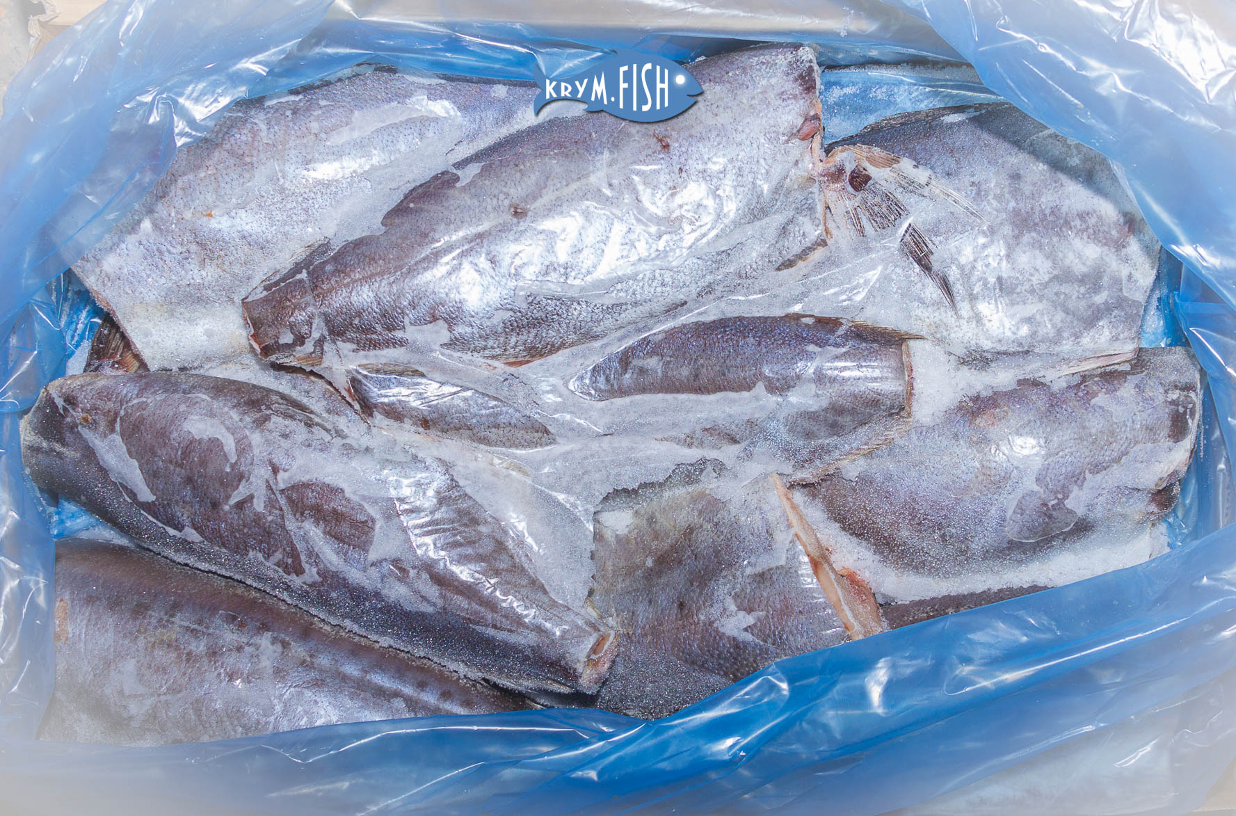 Рыба масляная: описание, виды с фото, правила употребления