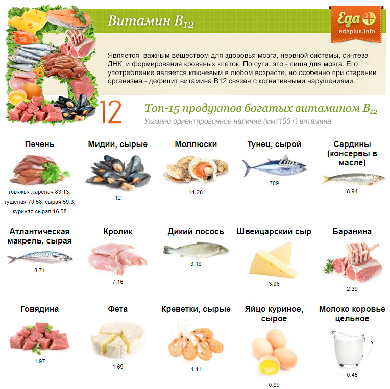 Витамин в12 в продуктах — фитогаленика — официальный сайт