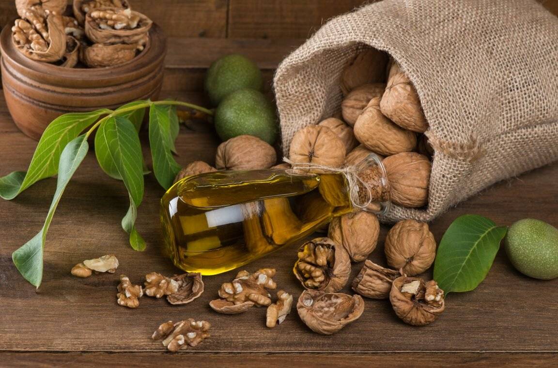 Лечебные свойства масла грецкого ореха и его применение
