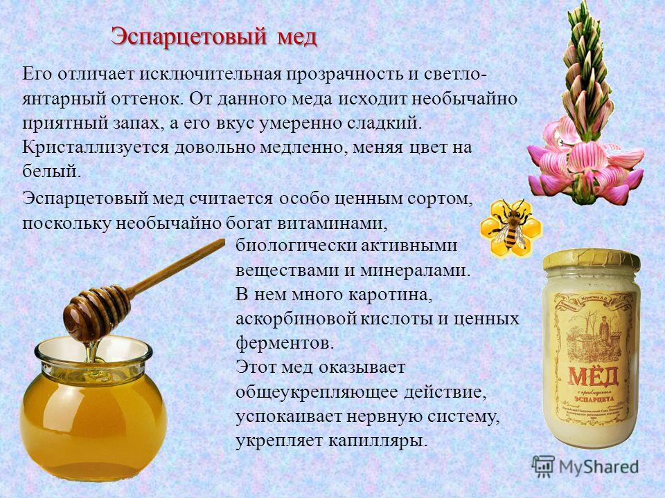 Полезные свойства и противопоказания к эспарцетовому меду, описание продукта Правила применения в медицине, отличия от подделки и способы хранения