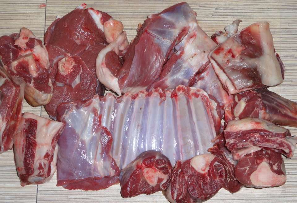 Как приготовить мясо бобра в домашних условиях?