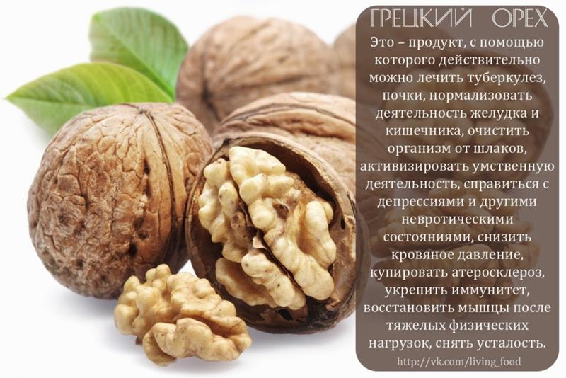 Польза грецкого ореха — 10 лечебных свойств для организма человека, а также вред и противопоказания