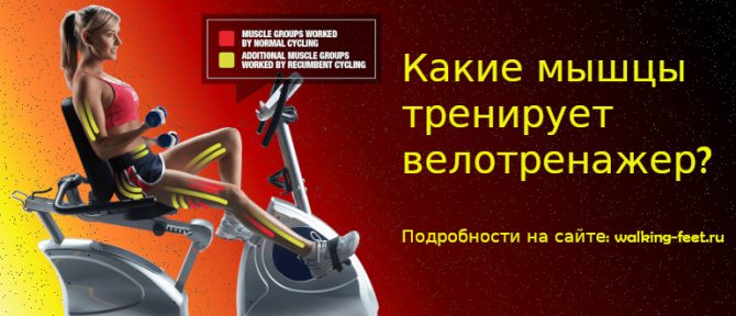 Какие могут быть противопоказания к занятиям на велотренажере ― интернет-магазин тренажеров zonasporta.com