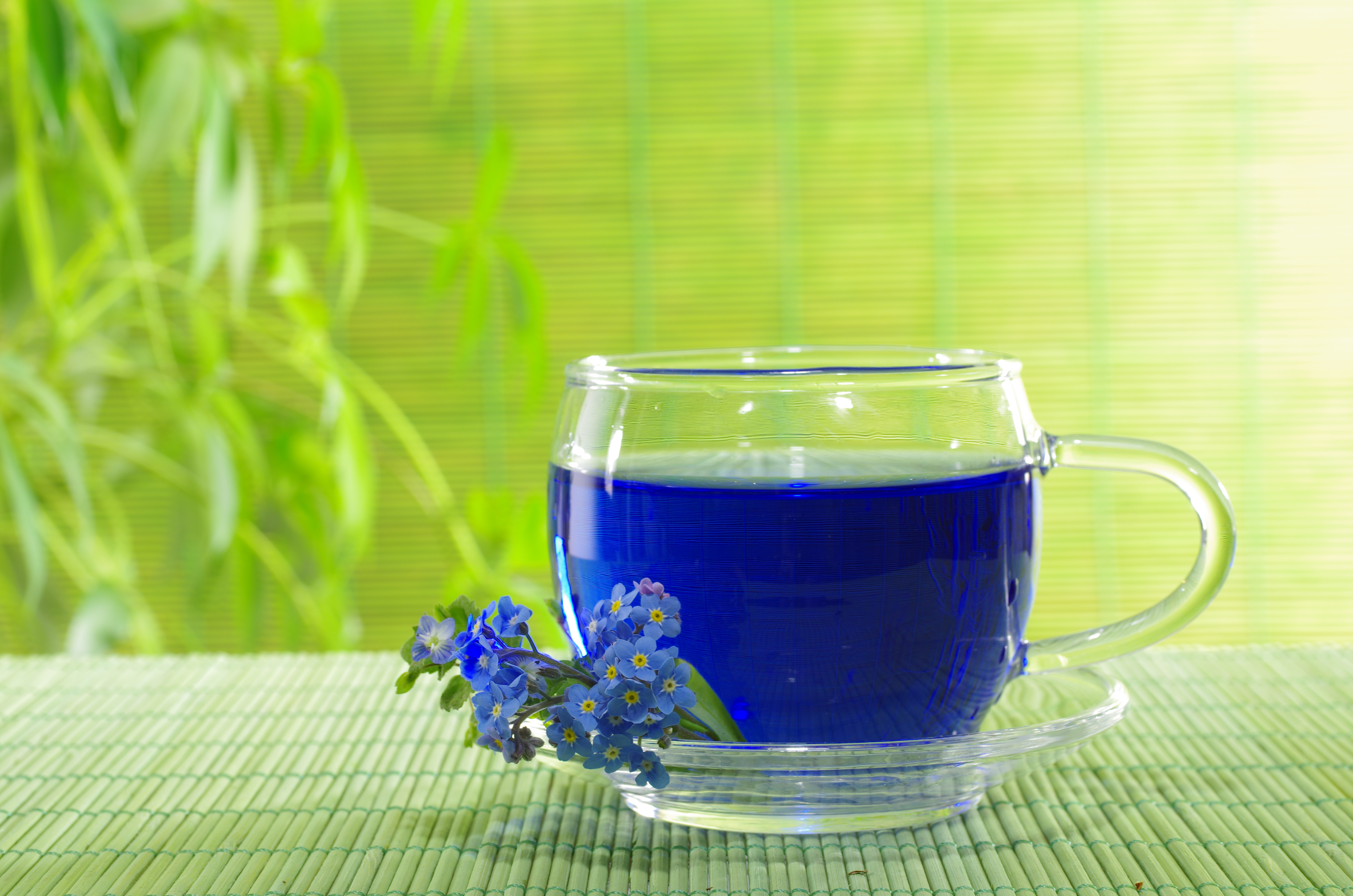Синий чай из таиланда: все о полезных свойствах и как заваривать - туристический портал