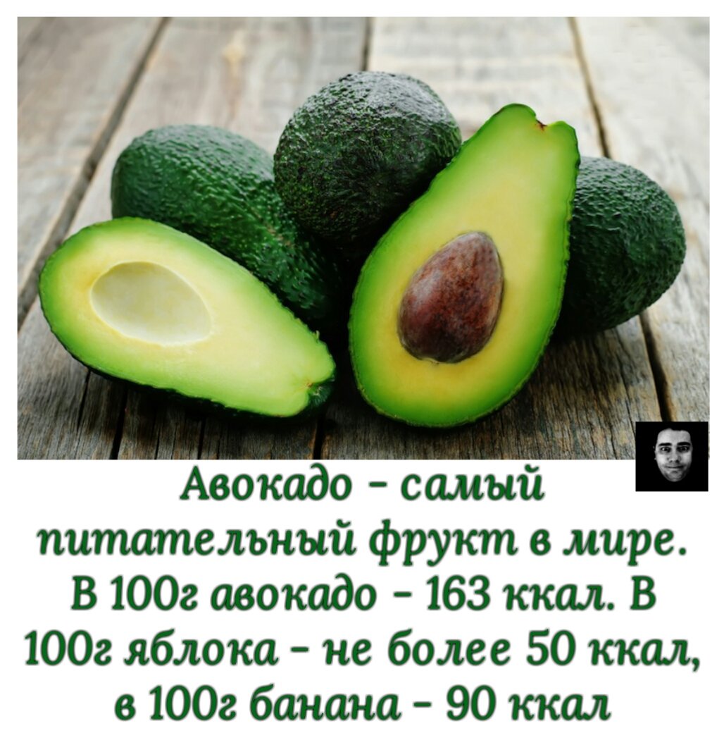 Авокадо: польза и вред для организма, противопоказания, калорийность, рецепты