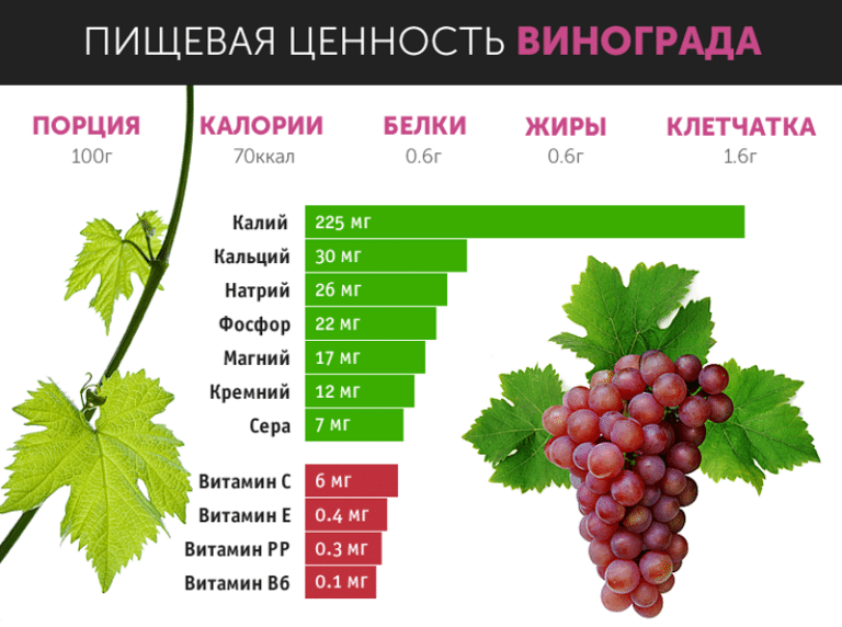 Виноградные листья: рецепты, польза и вред