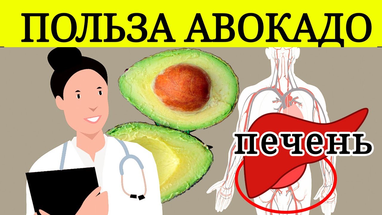 Авокадо: польза и вред для здоровья мужчин и женщин, свойства и состав
