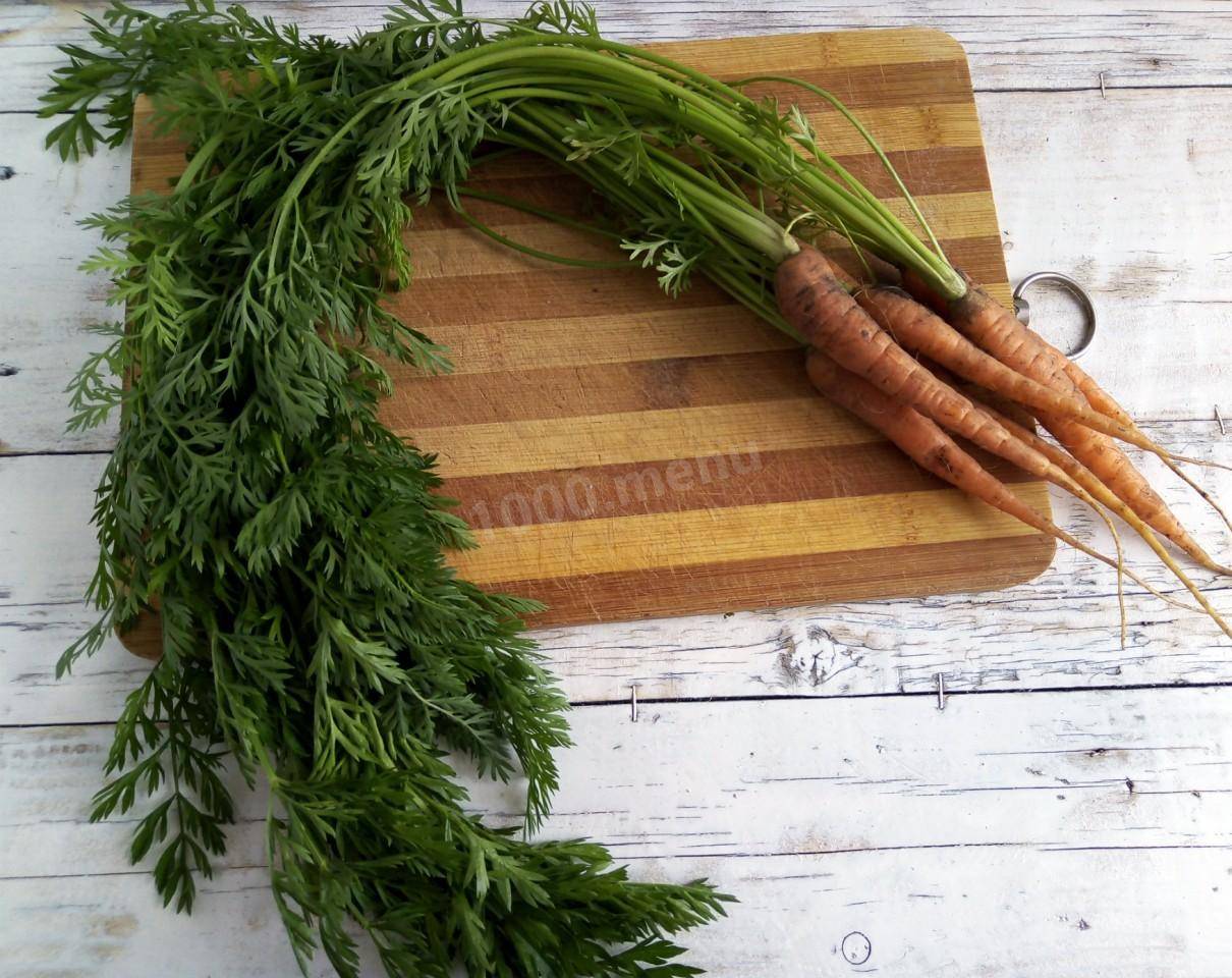 Морковная ботва - лечебные свойства и противопоказания