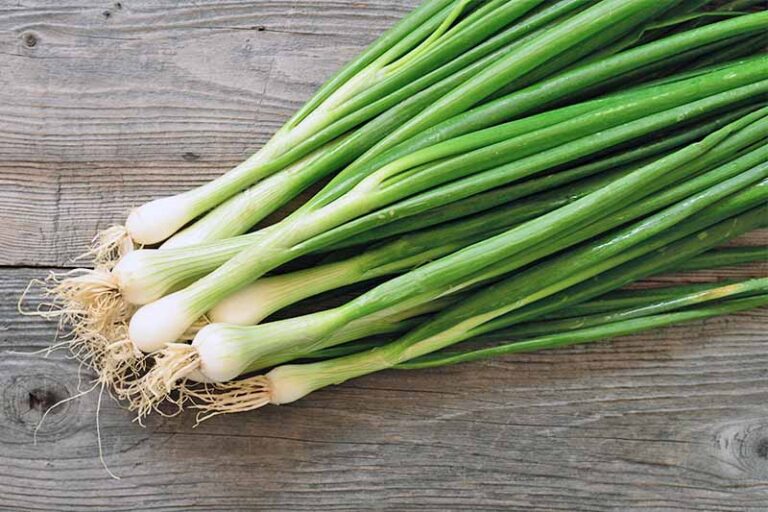 Зеленый лук: выращивание, польза, рецепты | food and health