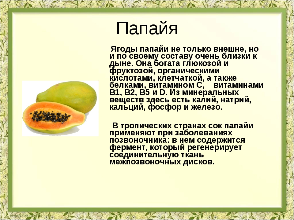 Всё про папайю, ее химический состав, пищевая ценность, наличие витаминов и минералов