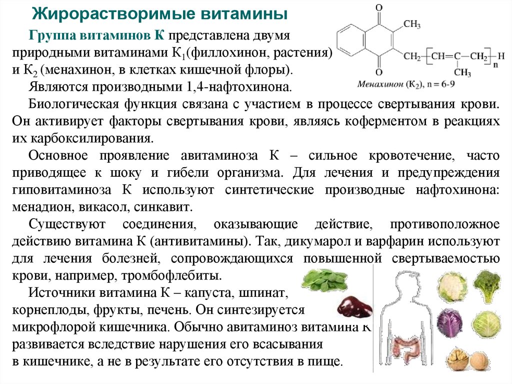 Витамин в5 (пантотеновая кислота)