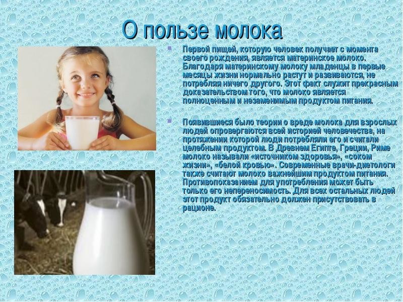 Интересные факты о молоке: топ-10