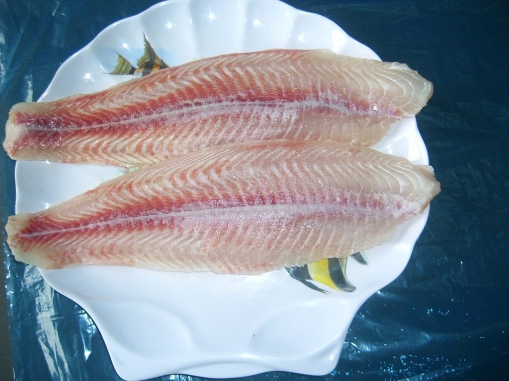 Рыба пангасиус польза и вред как приготовить