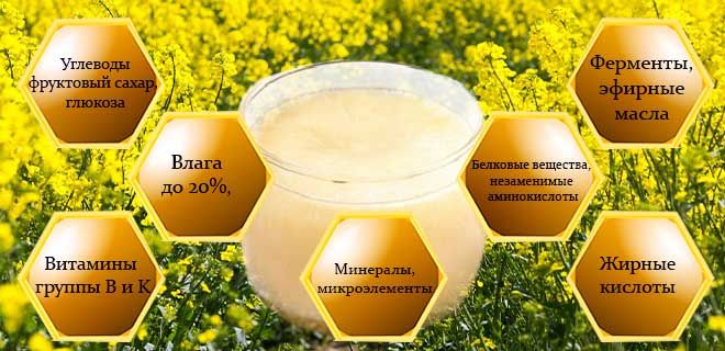 Мёд рапсовый. вкус, полезные свойства :: syl.ru