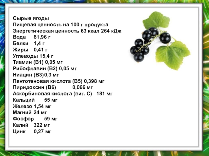 Смородина черная: калорийность на 100 грамм — 44 ккал. белки, жиры, углеводы, химический состав.