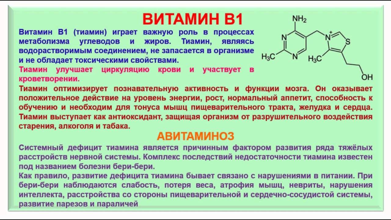 Витамин b15, пангамовая кислота | food and health