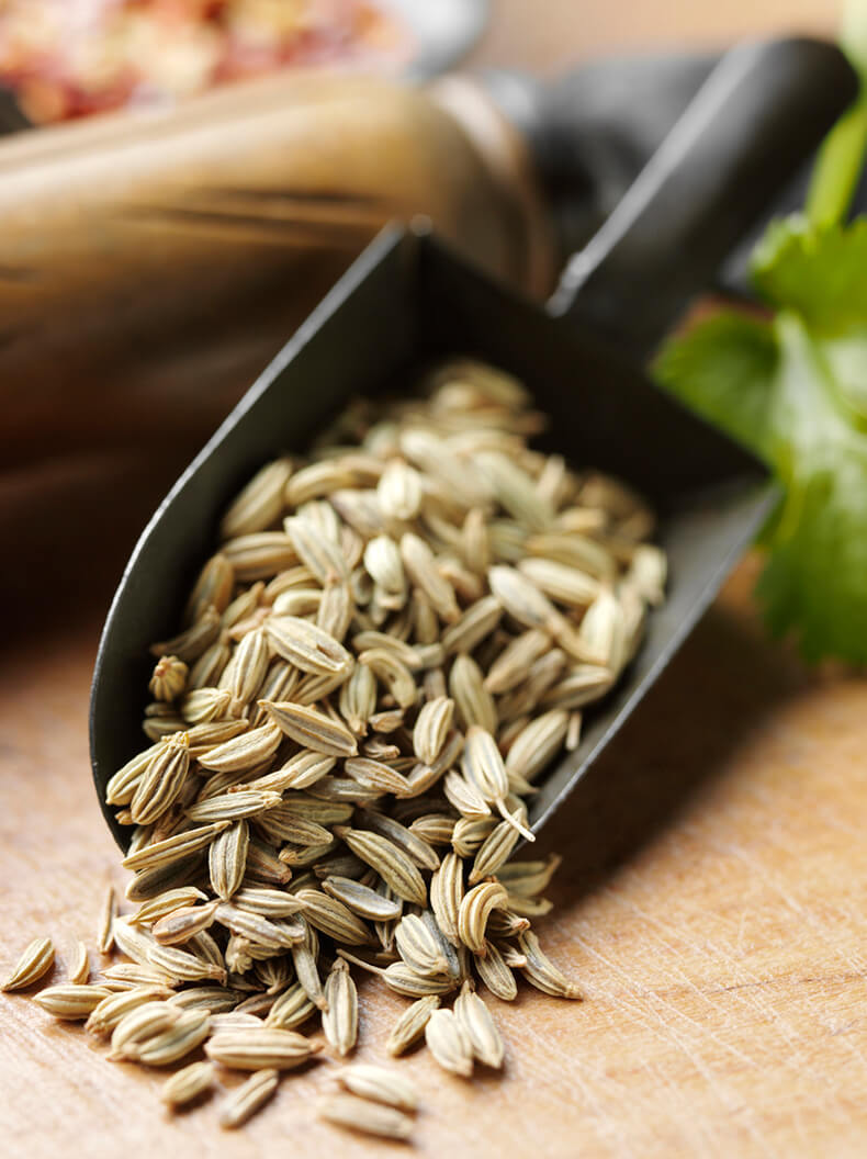Семена фенхеля: состав, калорийность, польза и рецепты