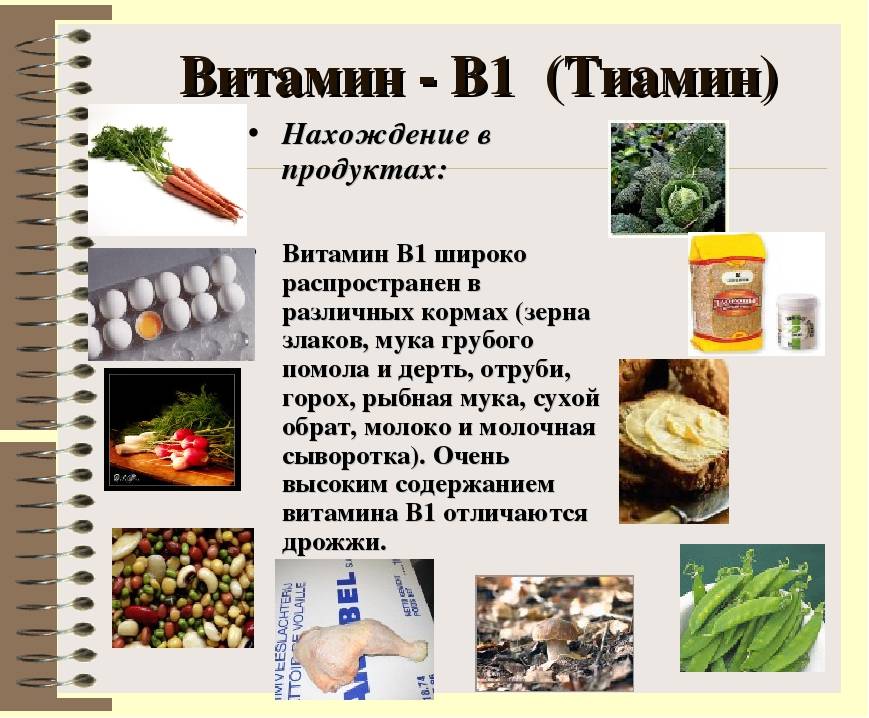 Полезные свойства витамина u. в каких продуктах содержится витамин u. суточная норма витамина u