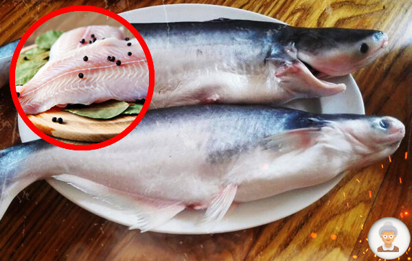 Пангасиус: что за речная рыба, можно ли ее кушать