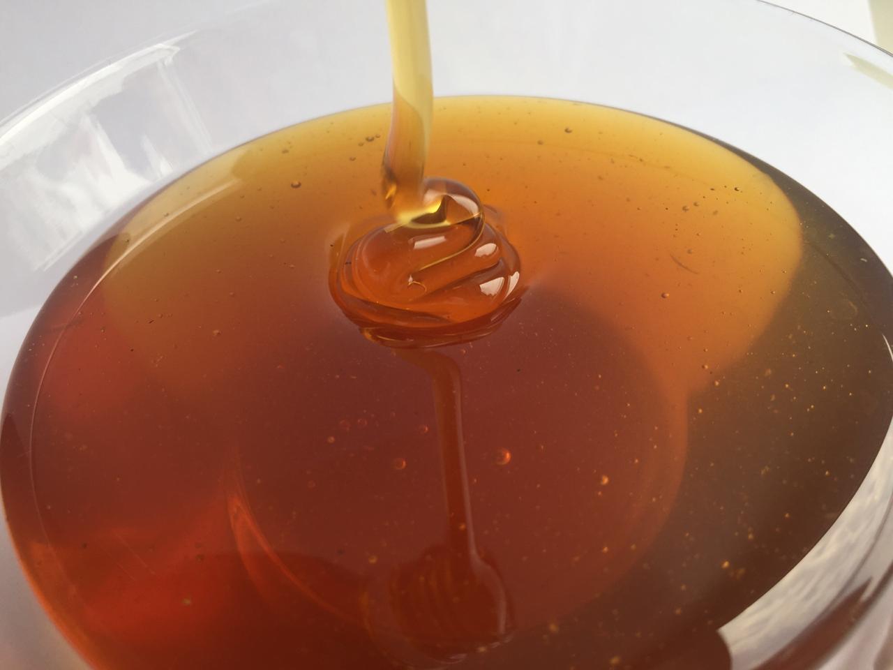 Как отличить поддельный донниковый мед от оригинала