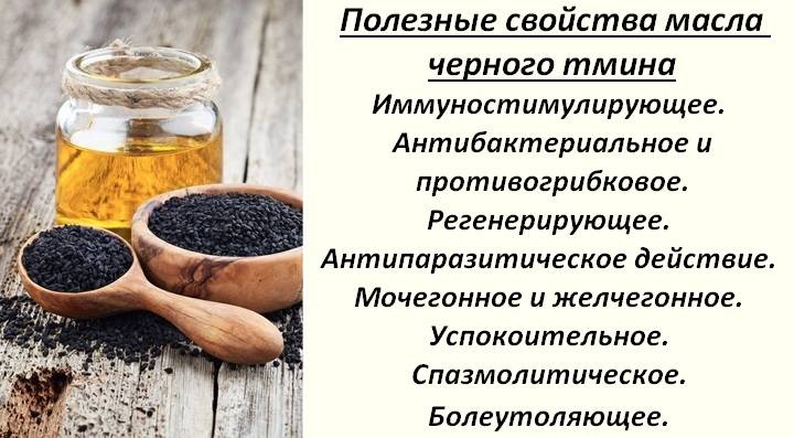 Всё про масло черного тмина, его химический состав, пищевая ценность, наличие витаминов и минералов, применение в кулинарии и косметологии