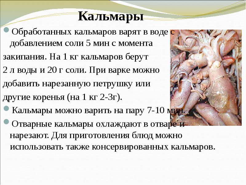 Кальмары – польза и вред мяса кальмара для здоровья