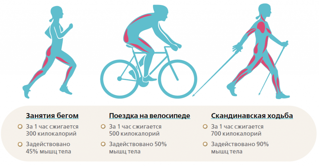 Велотренажер польза и вред для мужчин и женщин