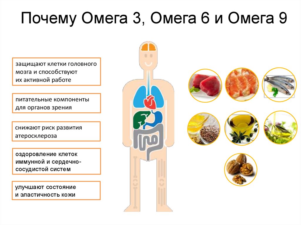 Общая характеристика Омега-9, суточная потребность, усваиваемость, полезные свойства и её влияние на организм, взаимодействие с другими элементами, признаки нехватки и избытка Омега-9 и многое другое