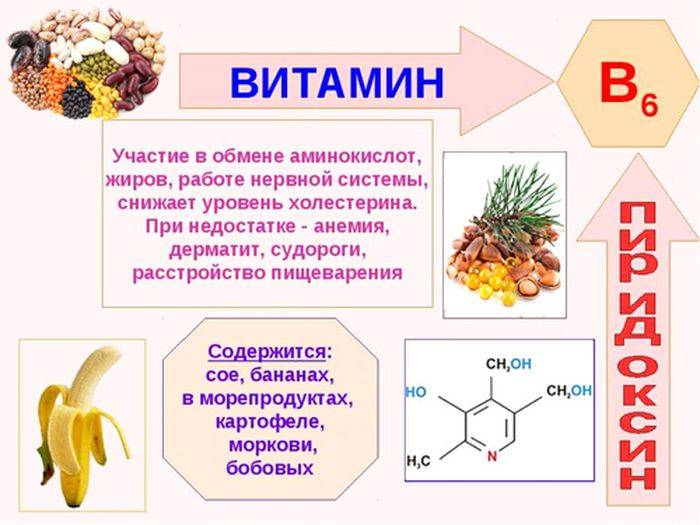 Витамин б16 (dmg или диметилглицин): для чего нужен организму, инструкция по применению