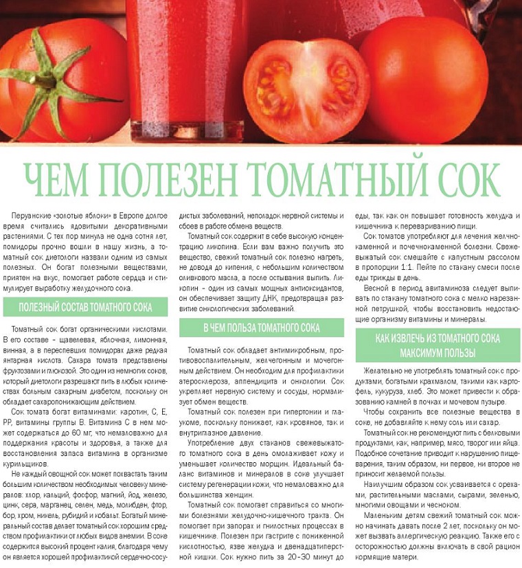 Польза и вред помидоров