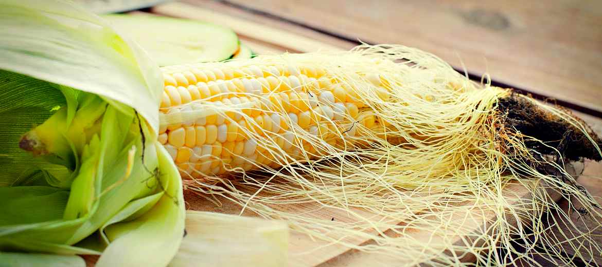Отвар кукурузных рылец: полезные свойства, рецепты приготовления