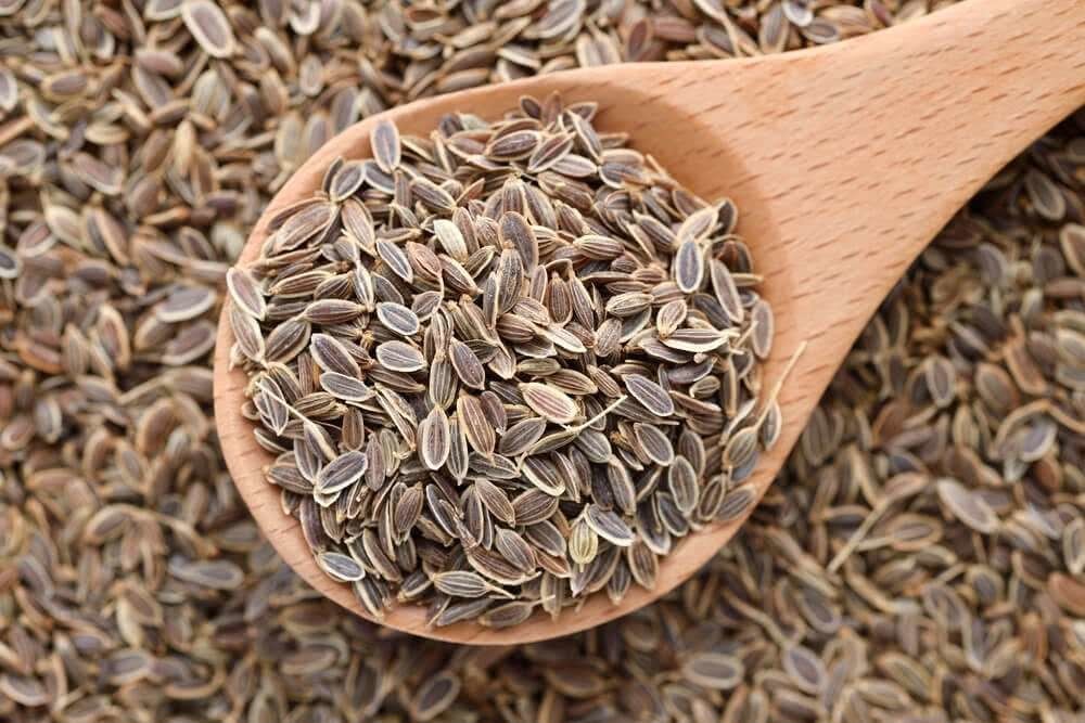 Семена укропа: польза, состав и противопоказания | food and health