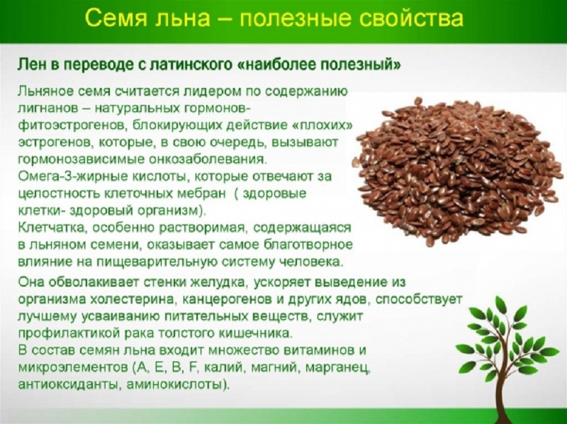 Льняное семя: как принимать, полезные свойства для здоровья