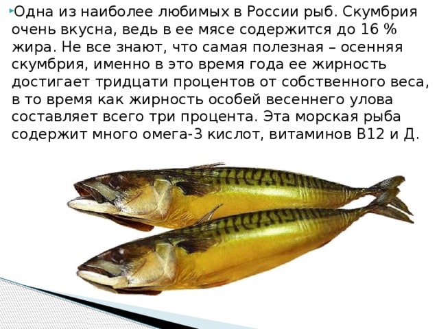 Скумбрия🐟 польза и вред, 15 свойств рыбы для организма, исследования