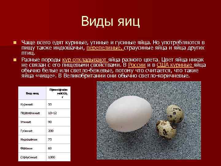Сколько варить гусиное яйцо всмятку