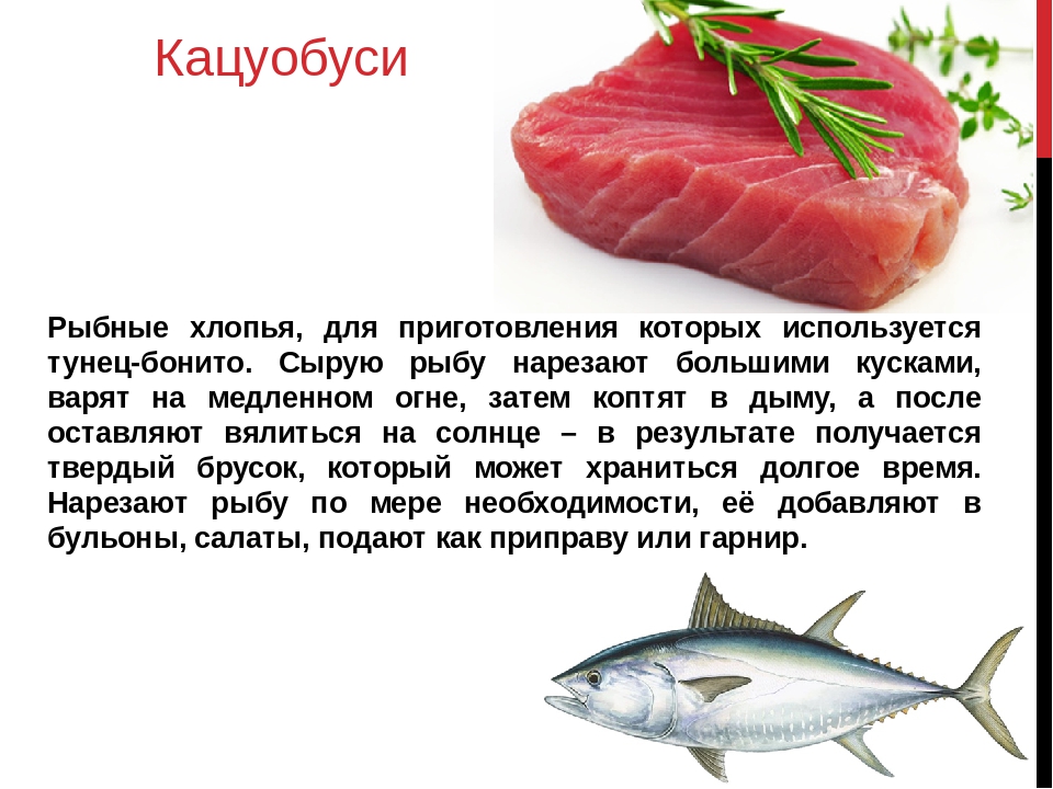 Тунец: основные характеристики рыбы и пищевая ценность продукта Польза и вред тунца для различных категорий потребителей, рекомендации по употреблению и рецепты Консервированный тунец: особенности выбора, употребления и хранения