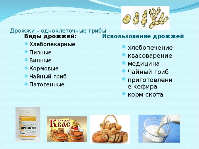 Вредны ли дрожжи / разбираемся, что об этом знает современная наука – статья из рубрики "польза или вред" на food.ru