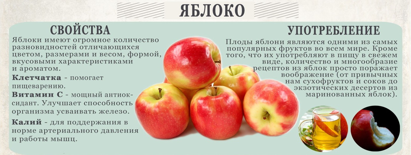 Сушеные яблоки: калорийность, польза, как заготовить, противопоказание