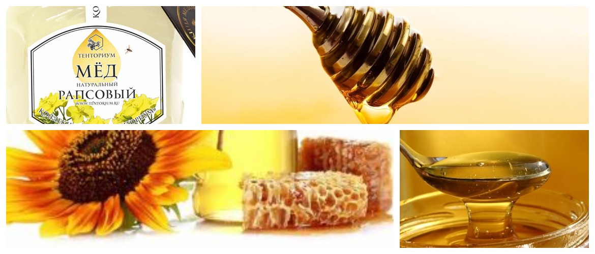 Рапсовый мед: полезные свойства и противопоказания