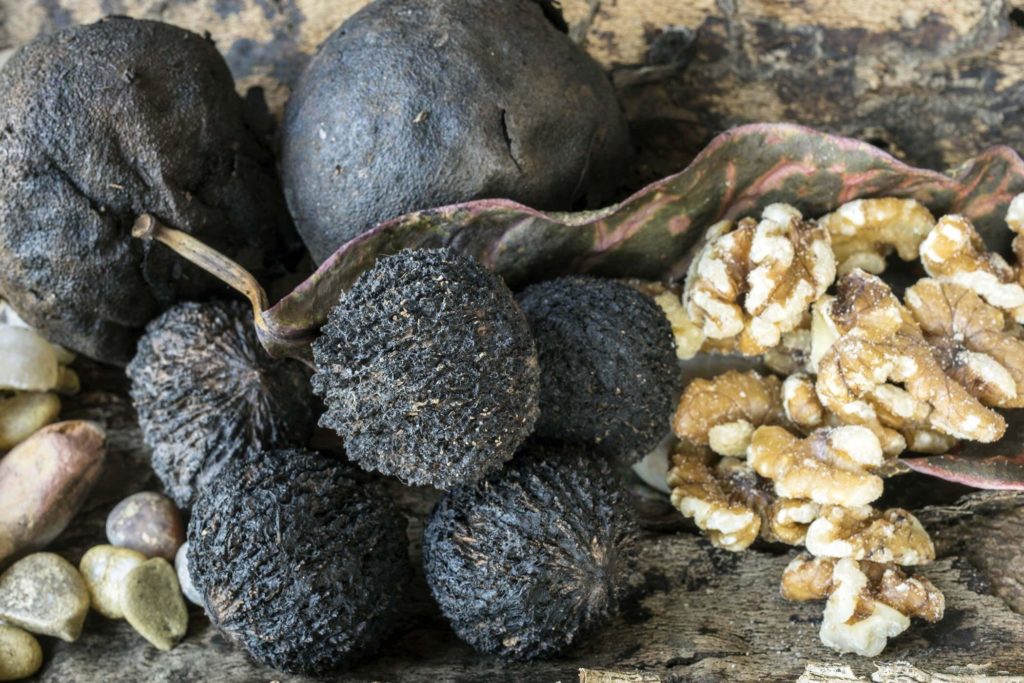 Черный орех (40 фото) — как выглядит дерево, сорта, выращивание. польза черного ореха