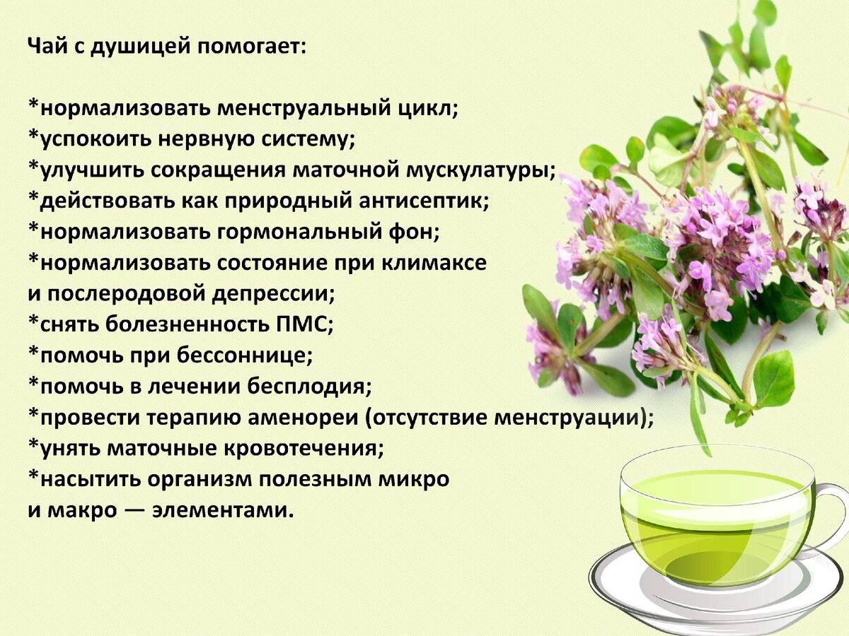 Польза и вред кока-колы, состав, калорийность