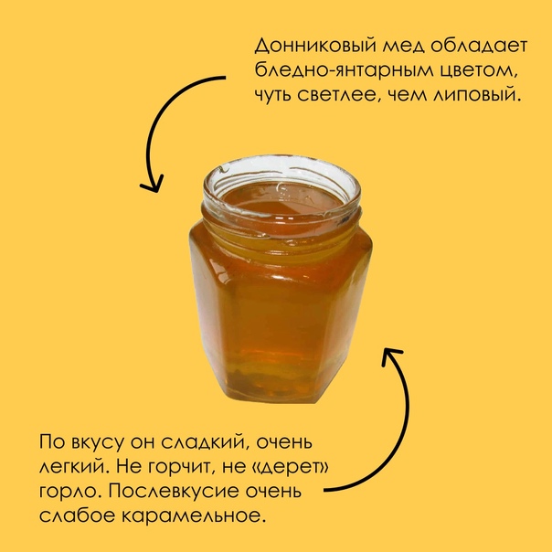 Донниковый мед свойства, состав, применение